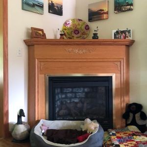 Meet your Posher, Connie